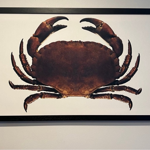 Brown Crab Art Wall Decor